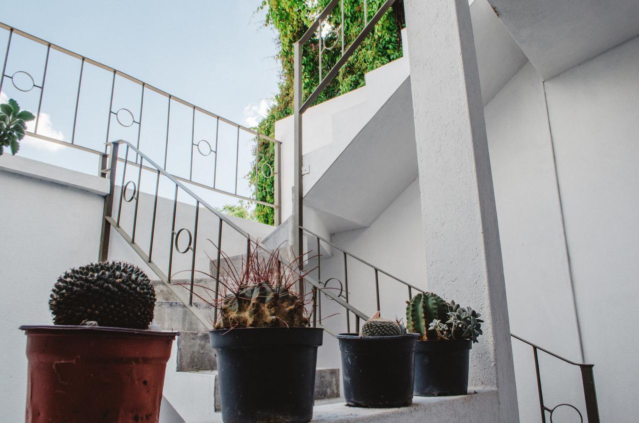 Casa Mariel Hotel San Luis Potosí Buitenkant foto